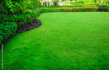 Load image into Gallery viewer, Fragrance Oil -  Green Lawn 10ml
