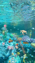 Load image into Gallery viewer, Fragrance Oil - Marine 10ml