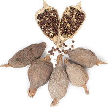 Load image into Gallery viewer, Fragrance Oil -  Tambutti Muti 10ml