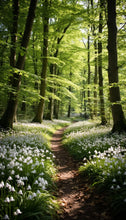 Load image into Gallery viewer, Fragrance Oil - Forest Walk 10ml