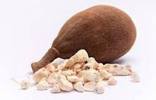 Load image into Gallery viewer, Fragrance Baobab 10 mls