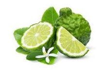 Load image into Gallery viewer, EO  - Bergamot Essential Oil 10ml