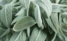 Load image into Gallery viewer, EO -  Clary Sage Essential Oil 10ml