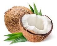 Load image into Gallery viewer, Fragrance Oil -  Coconut 10ml