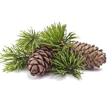Load image into Gallery viewer, EO - Cedarwood Essential Oil 10ml