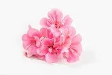 Load image into Gallery viewer, EO -   Geranium Essential Oil 50ml