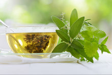 Load image into Gallery viewer, Fragrance Oil - Green Tea 10 ml