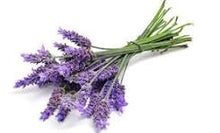 Load image into Gallery viewer, Towel - Lavender Hand Towel With Embroidery - Waffle Weave