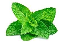 Load image into Gallery viewer, EO - Peppermint Essential Oil 50ml