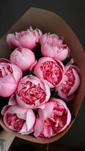 Load image into Gallery viewer, Fragrance Oil - Peony 10ml