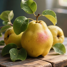 Load image into Gallery viewer, Fragrance Oil - Quince 10ml
