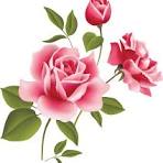 Load image into Gallery viewer, Fragrance  Oil -  Rose 10ml