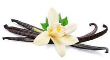 Load image into Gallery viewer, EO - Vanilla (Synthesis Standard) Essential Oil 10ml