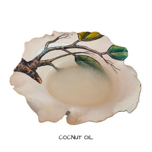 Load image into Gallery viewer, Coconut Oil  Refined  500 mls
