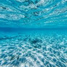 Load image into Gallery viewer, Fragrance Oil -  Marine Fresh 10ml