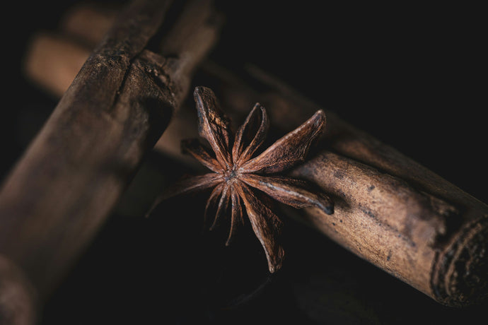 Cinnamon Bark — The Warming Wonder from Cinnamomum spp. (Lauraceae)