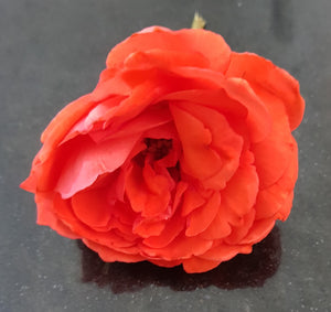 Dried Herbs- Rose Petals 15 grm