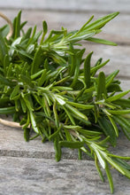 Load image into Gallery viewer, Herbal Rosemary Shampoo  200  mls
