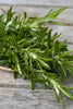 Herbal Rosemary Shampoo  200  mls