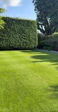 Load image into Gallery viewer, Fragrance Oil -  Green Lawn 10ml
