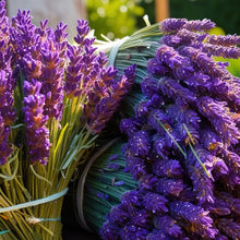 Load image into Gallery viewer, Fragrance oil - Lavender New 50 ml
