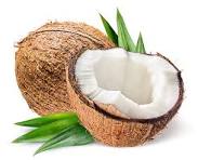 Fragrance Coconut C 10 mls