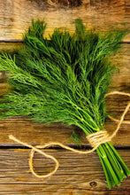 Load image into Gallery viewer, EO -  Dill Essential Oil 10ml
