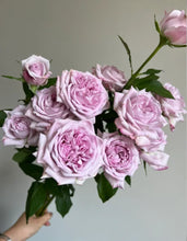 Load image into Gallery viewer, Cold Processed Soap - Patchouli  &amp; Rose
