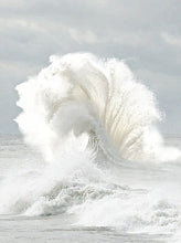 Load image into Gallery viewer, Fragrance Oil -  Oceanic Fresh 10ml
