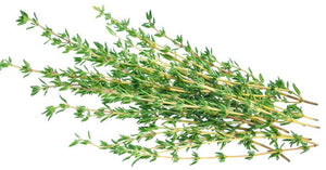 EO  - Thyme Essential Oil 10 ml