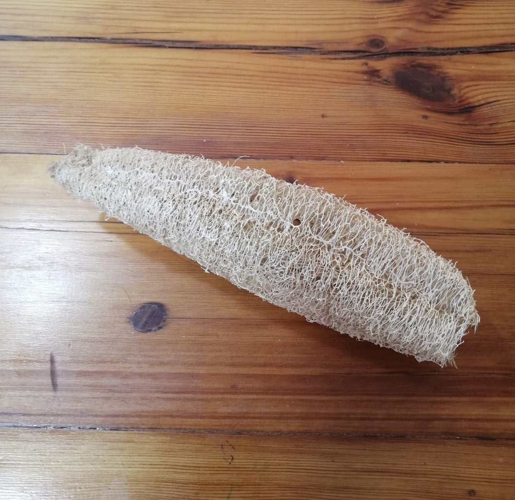 Zam Loofa - Medium