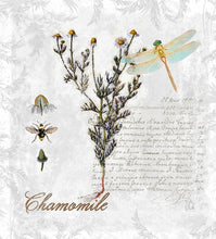Load image into Gallery viewer, EO Chamomile Blue 10mil

