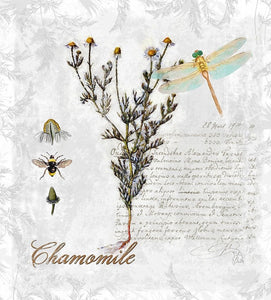 EO Chamomile Blue 10mil