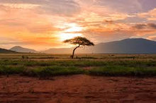 Load image into Gallery viewer, Room Spray - African Savannah 04

