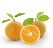 Load image into Gallery viewer, Roller Ball -  Fleur D' Orange  10 mls
