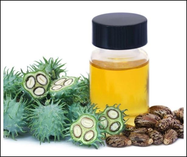 Castor Oil - 1KG/LTR