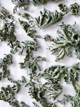 Load image into Gallery viewer, Dried Herbs- Geranium 10 g

