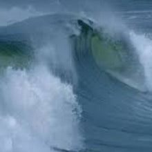 Load image into Gallery viewer, Fragrance Oil -  Oceanic Fresh 10ml
