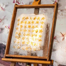 Load image into Gallery viewer, Making Scents - The Art of Perfumery  In the Classroom
