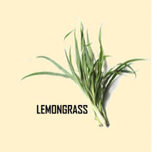 Load image into Gallery viewer, Hydrosol - Lemongrass  500  mls
